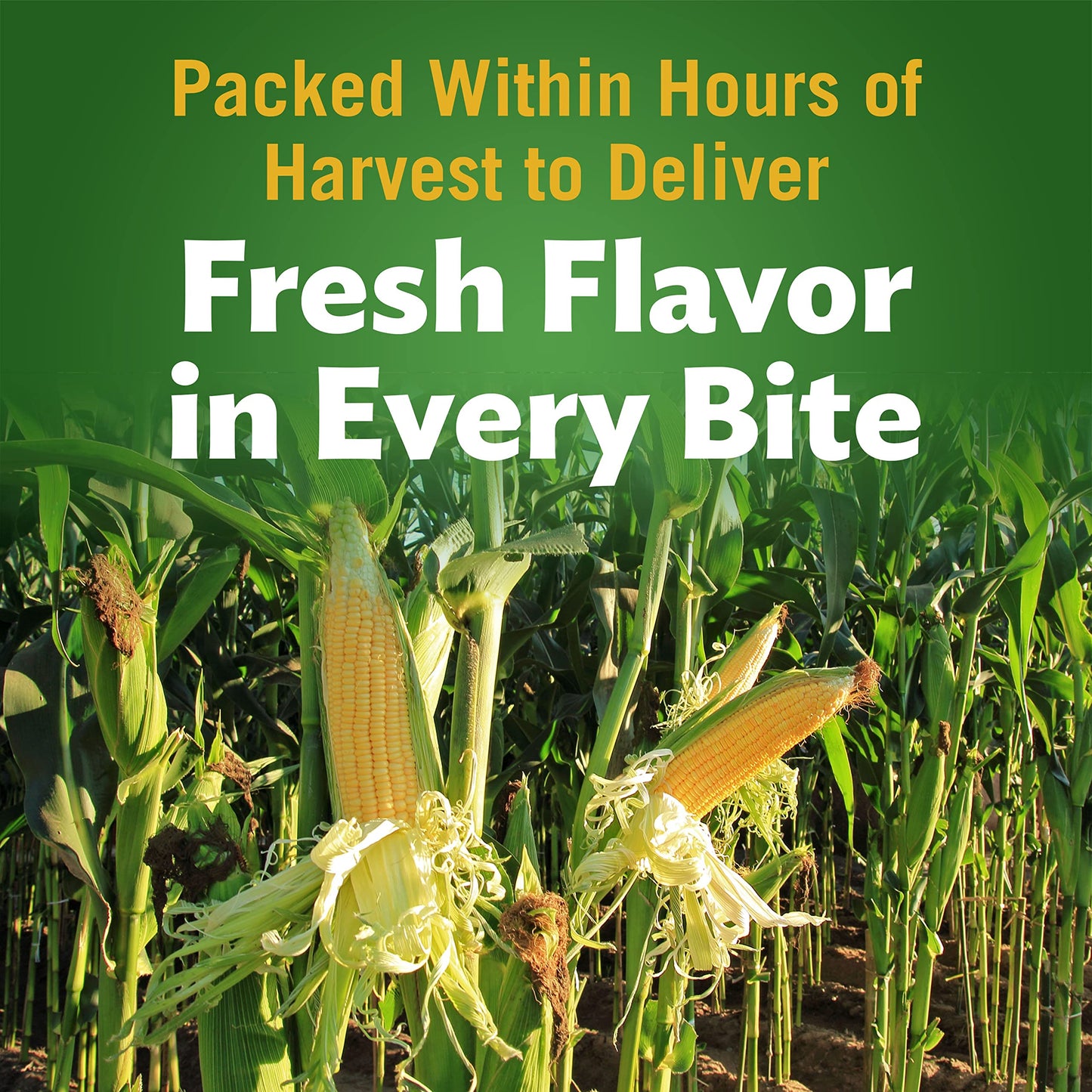 Del Monte FRESH CUT 50% Reduced Sodium Golden Sweet Whole Kernel Corn, Canned Vegetables, 12 Pack, 15.25 oz Can